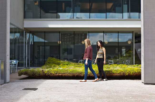 La instalación de Green Varnish que muestra cómo ignorar una realidad incómoda