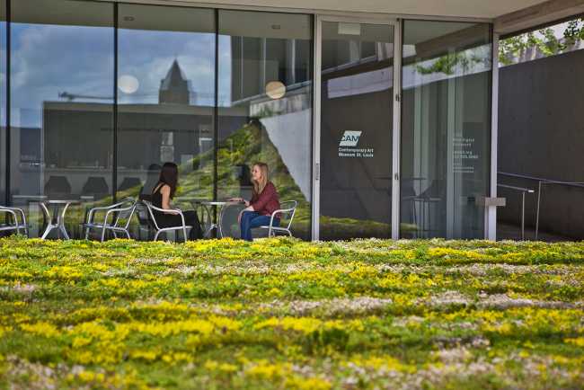 La instalación de Green Varnish que muestra cómo ignorar una realidad incómoda
