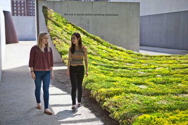 La instalación de Green Varnish que muestra cómo ignorar una realidad incómoda