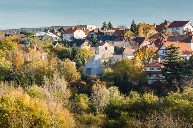 The house which poses as a tree: House in the Orchard