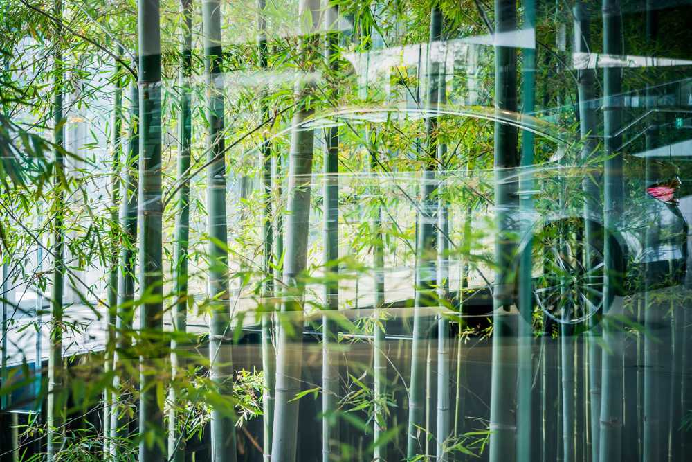 Hyundai Motorstudio Goyang. Expérience de l'espace comme un voyage qui stimule l'imagination.