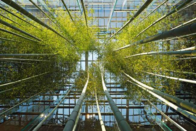 Hyundai Motorstudio Goyang. Expérience de l'espace comme un voyage qui stimule l'imagination.