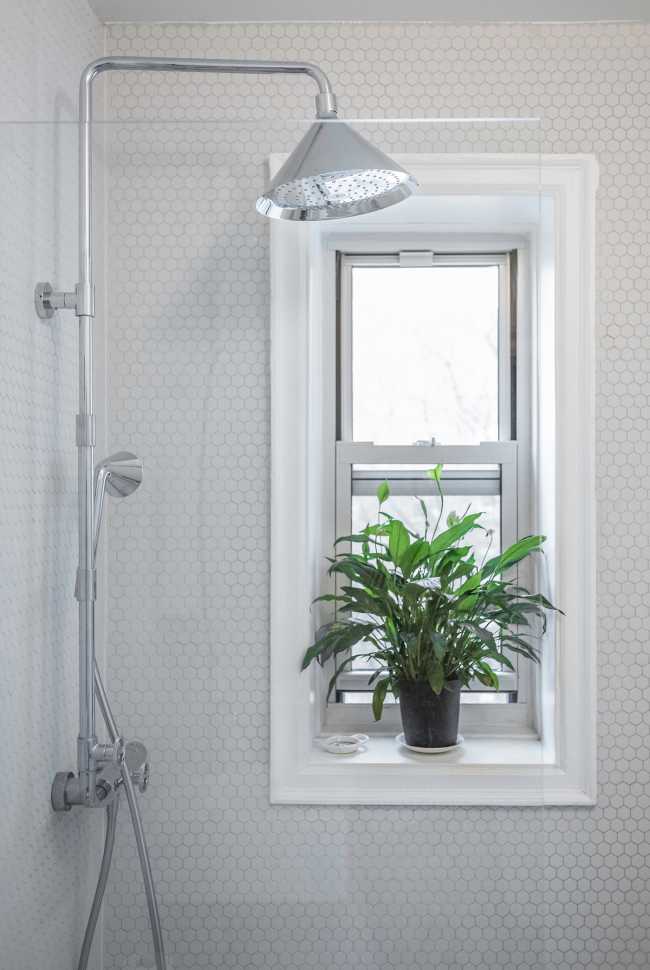 Can a strict and understated design evoke a sense of whimsical wonder and discovery?