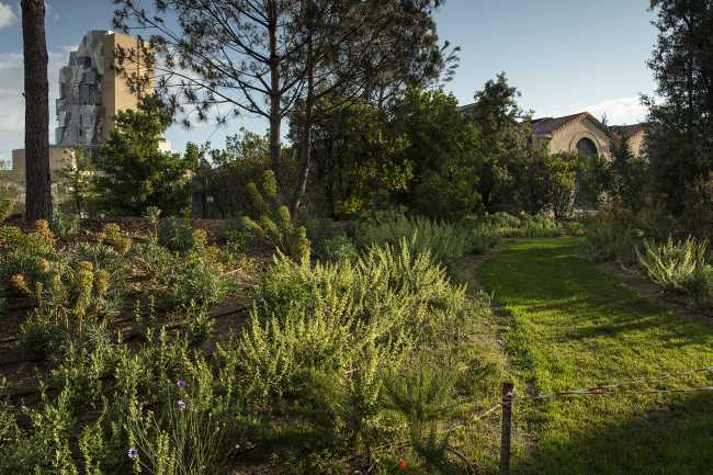 LUMA Arles al Parc des Ateliers. Campus interdisciplinare e creativo a servizio degli artisti e della comunità