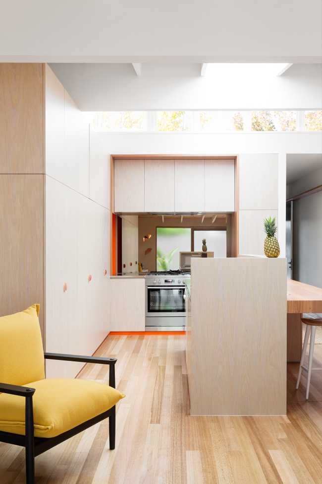 Renovation of a modernist cottage. The House of Cats, a playful space for humans and their pets