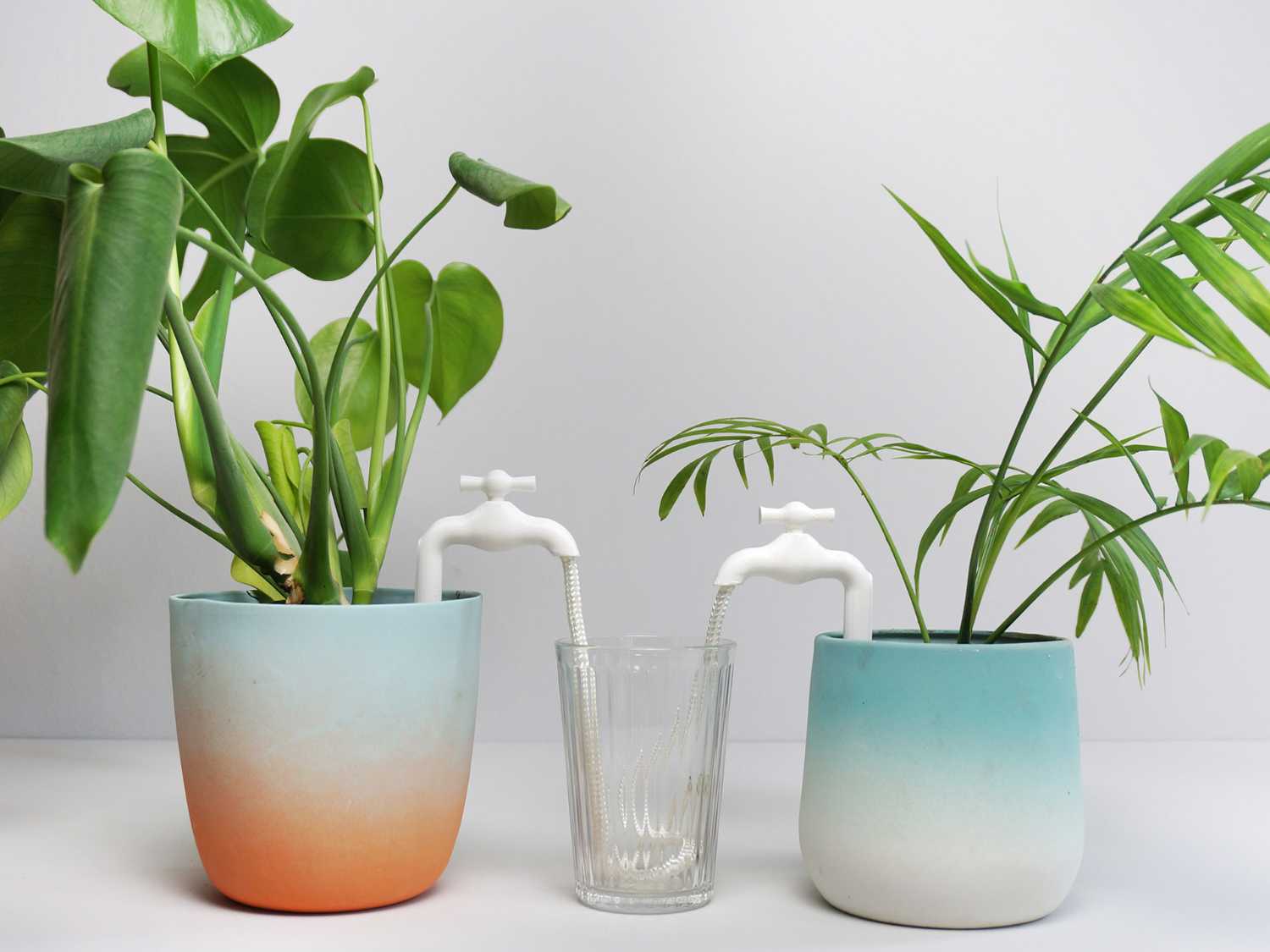 Design iconico di un semplice ma funzionale sistema di irrigazione per piante in vaso: il TapWire