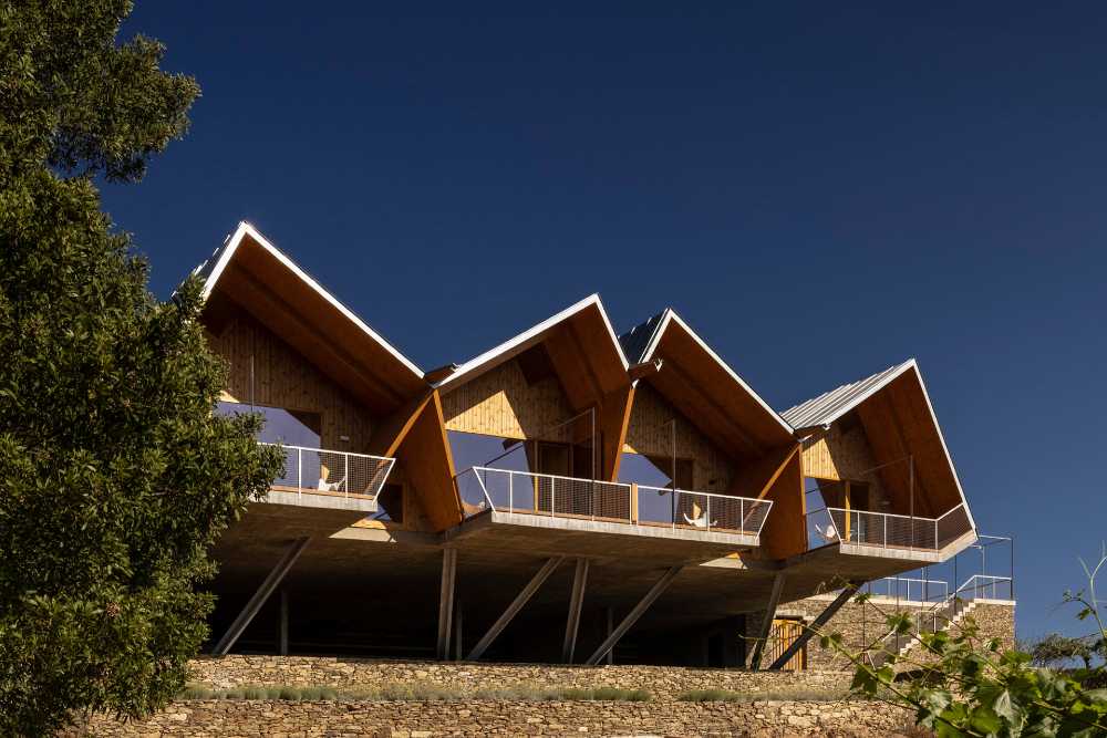 A jump into the landscape made of vineyards, olive trees and almond trees