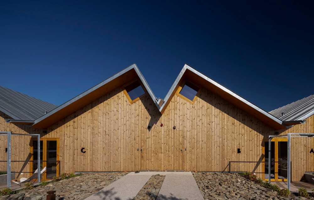 A jump into the landscape made of vineyards, olive trees and almond trees