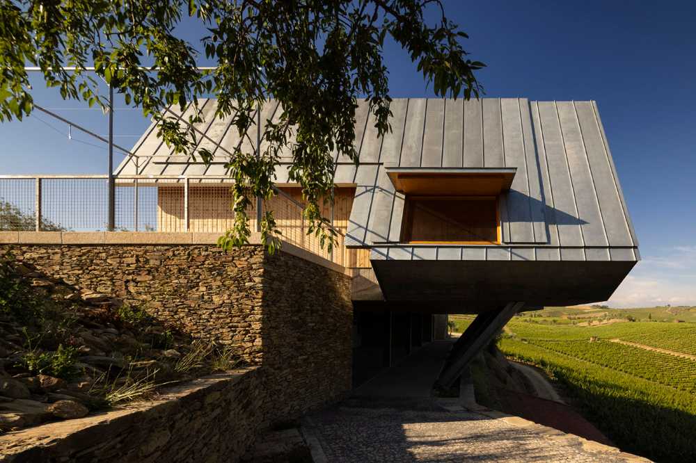 A jump into the landscape made of vineyards, olive trees and almond trees