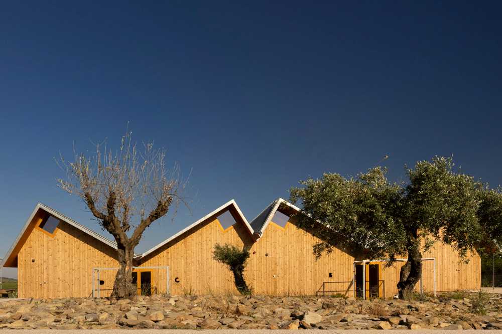 A jump into the landscape made of vineyards, olive trees and almond trees