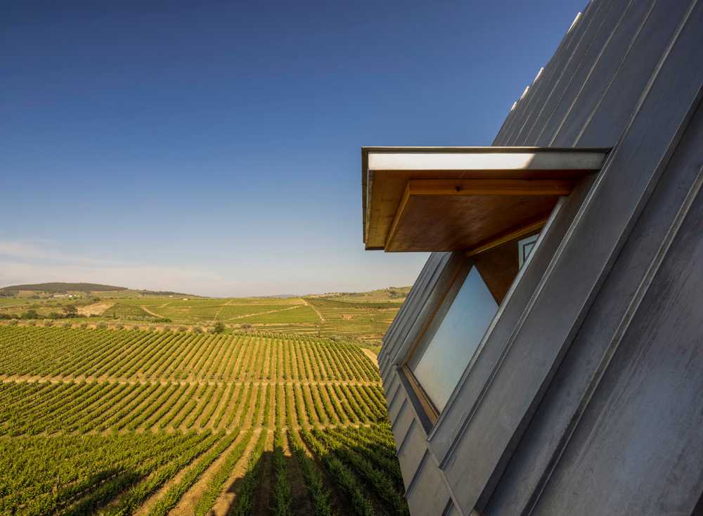 A jump into the landscape made of vineyards, olive trees and almond trees