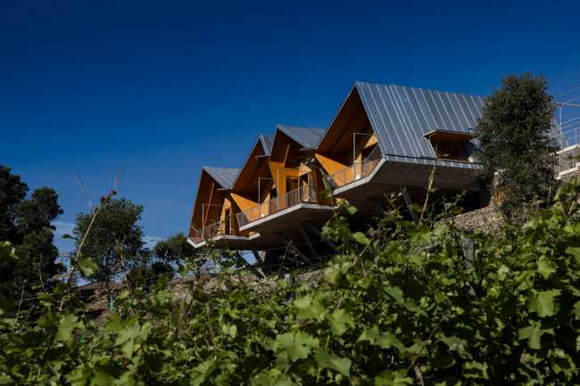 A jump into the landscape made of vineyards, olive trees and almond trees