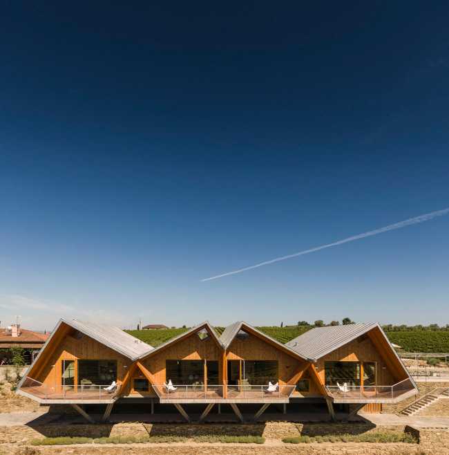 A jump into the landscape made of vineyards, olive trees and almond trees