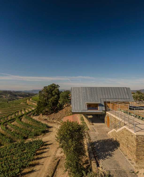 A jump into the landscape made of vineyards, olive trees and almond trees