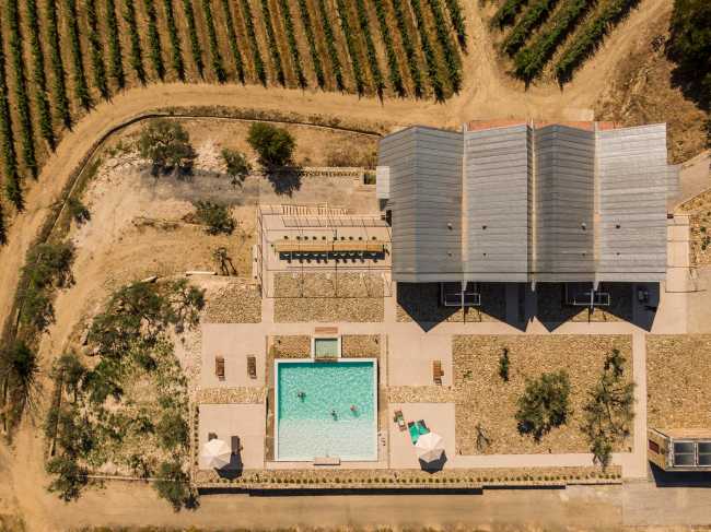 A jump into the landscape made of vineyards, olive trees and almond trees
