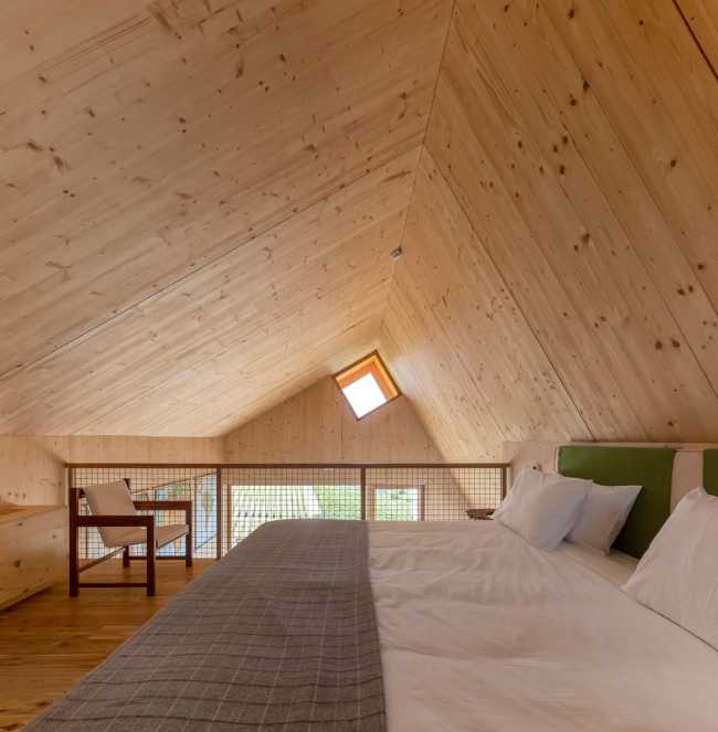 A jump into the landscape made of vineyards, olive trees and almond trees