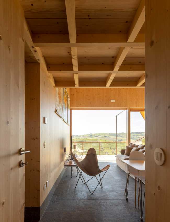 A jump into the landscape made of vineyards, olive trees and almond trees