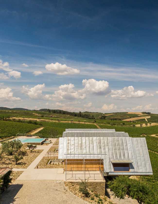 A jump into the landscape made of vineyards, olive trees and almond trees