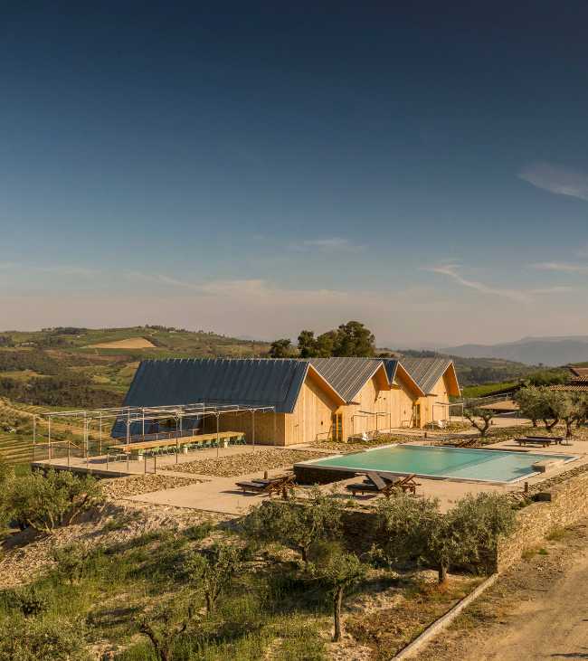 A jump into the landscape made of vineyards, olive trees and almond trees