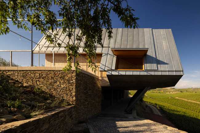 A jump into the landscape made of vineyards, olive trees and almond trees