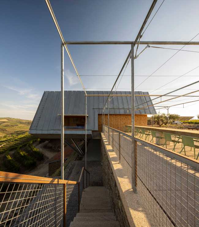 A jump into the landscape made of vineyards, olive trees and almond trees