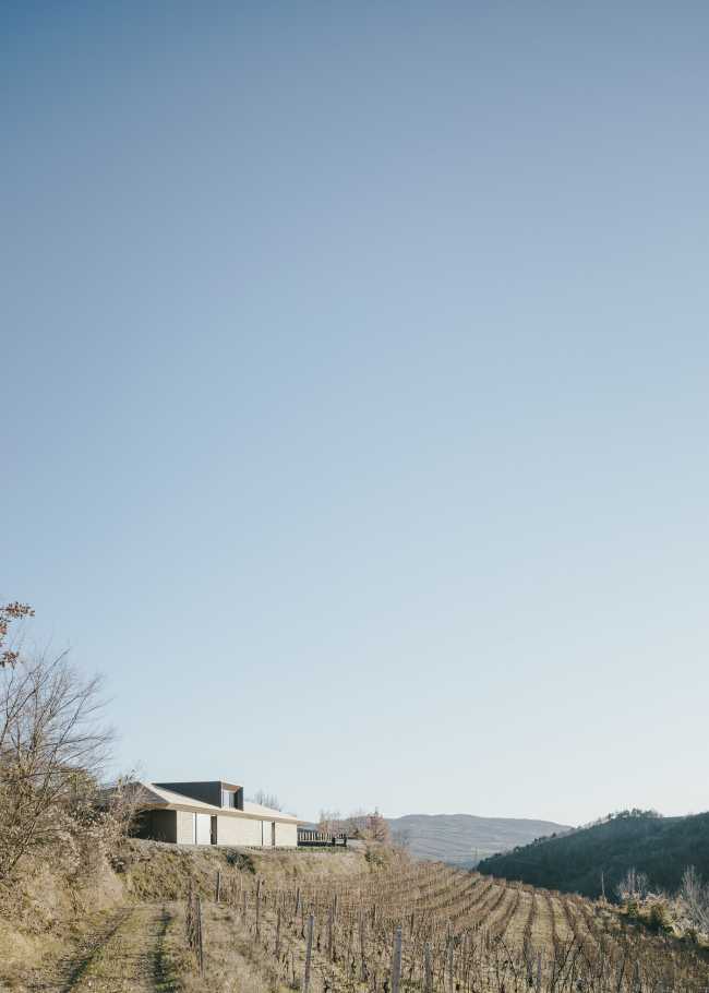 Cascina Elena Winery. A new sustainable architecture in Alta Langa