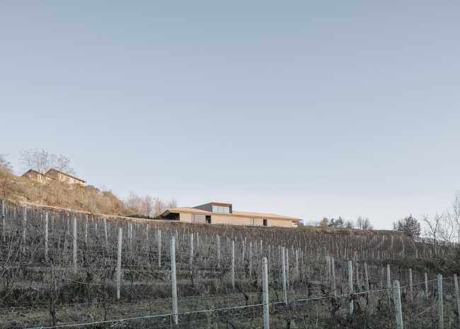 Cascina Elena Winery. A new sustainable architecture in Alta Langa