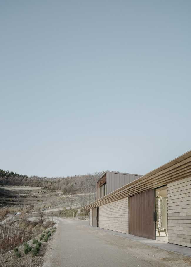 Cascina Elena Winery. A new sustainable architecture in Alta Langa