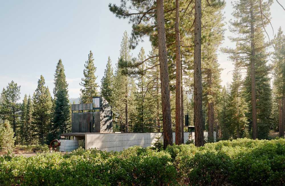 La Analog House en California se fond dans le paysage entre les baies vitrées et les forêts
