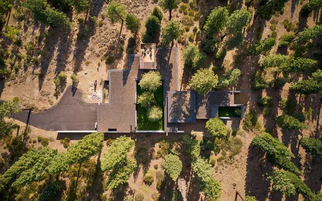 Analog House en California se fusiona con el paisaje entre ventanales y bosques.