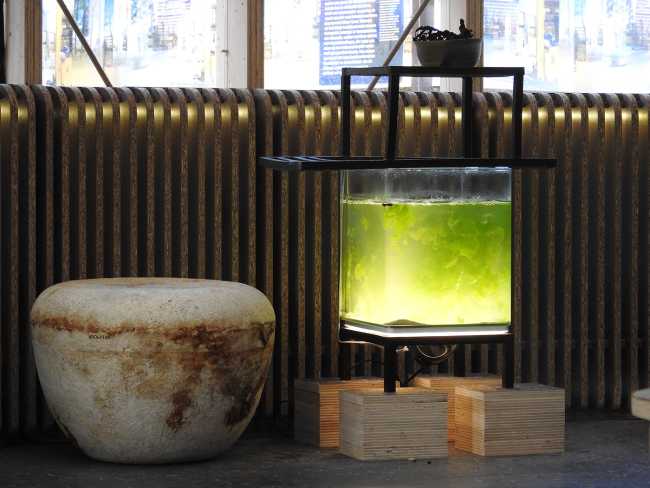 The Growing Pavilion y la nueva estética de los materiales orgánicos para el diseño