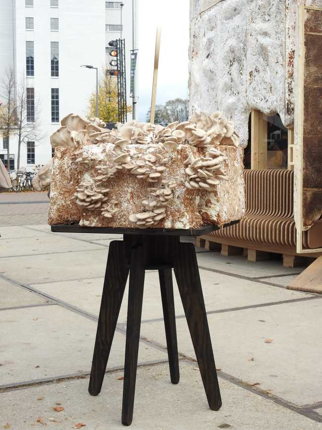 The Growing Pavilion y la nueva estética de los materiales orgánicos para el diseño