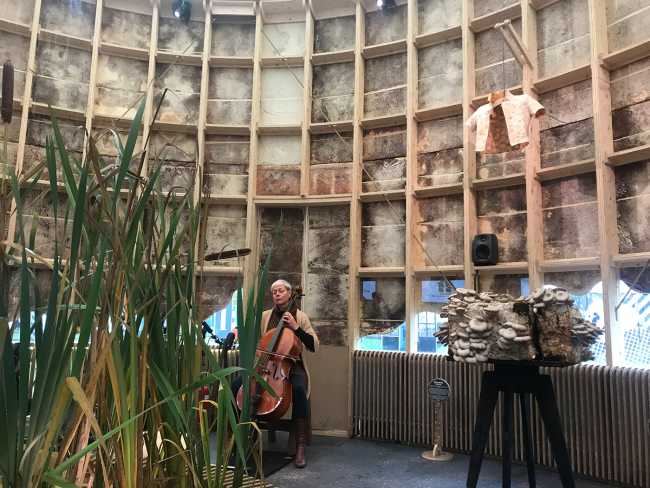 The Growing Pavilion y la nueva estética de los materiales orgánicos para el diseño