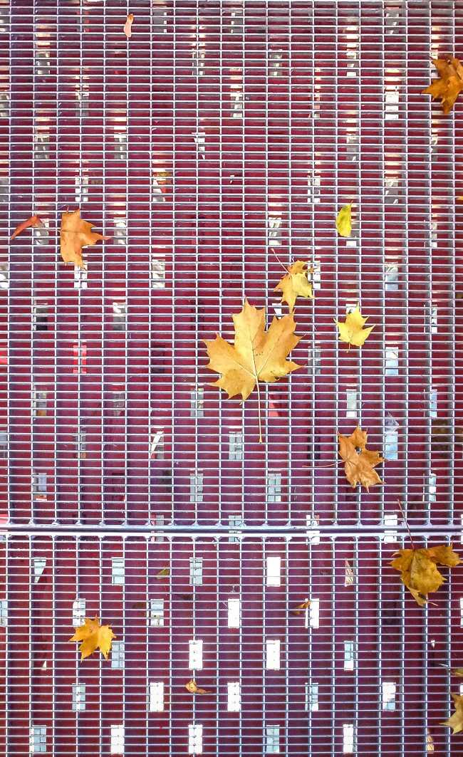 Renovación de la Oficina Central. Fachadas metálicas inspiradas en la vocación industrial del lugar