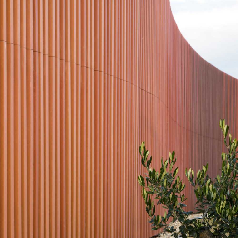 Guardería Terra Membrane. Naturaleza y arquitectura se funden en una forma orgánica