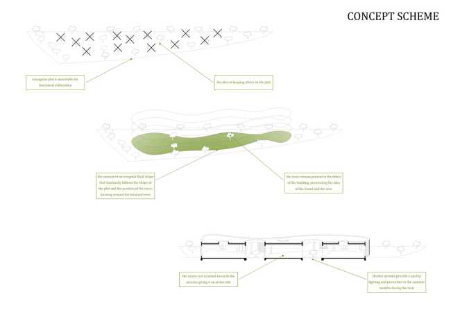 Guardería Terra Membrane. Naturaleza y arquitectura se funden en una forma orgánica
