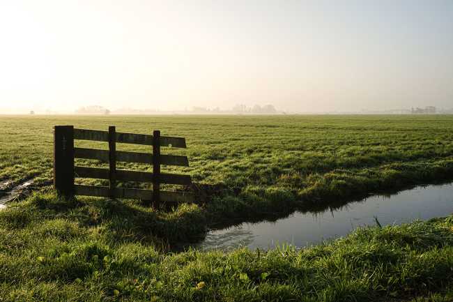 Tranquility, spaciousness and views in House B7 made of zinc and wood