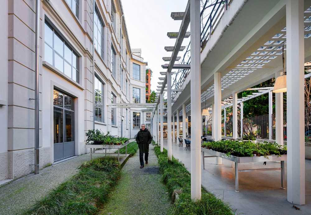 Bistro de la Casa de los Artistas entre el ambiente de taller industrial doméstico y el de vivero urbano