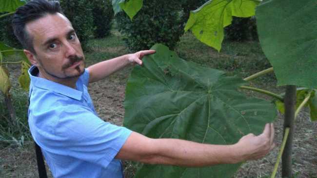 SEED, la suite ecologica per vivere l’esperienza del respiro degli alberi e compensare l’impatto ambientale delle aziende