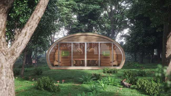 SEED, la suite ecologica per vivere l’esperienza del respiro degli alberi e compensare l’impatto ambientale delle aziende