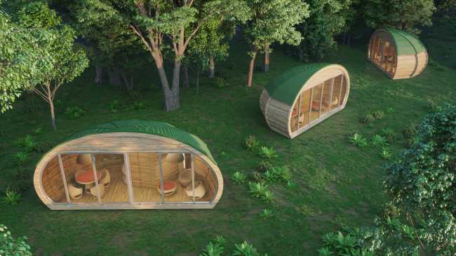 SEED, la suite ecologica per vivere l’esperienza del respiro degli alberi e compensare l’impatto ambientale delle aziende