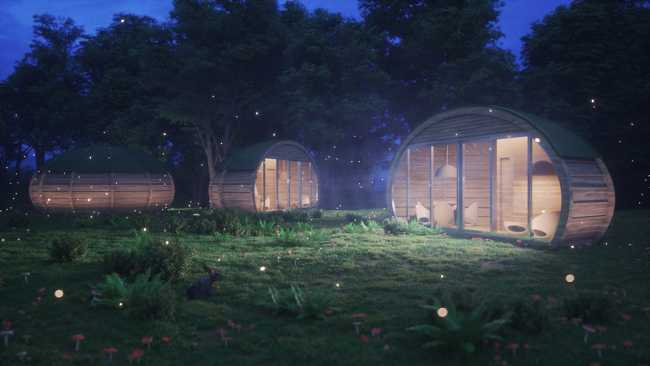 SEED, la suite ecologica per vivere l’esperienza del respiro degli alberi e compensare l’impatto ambientale delle aziende