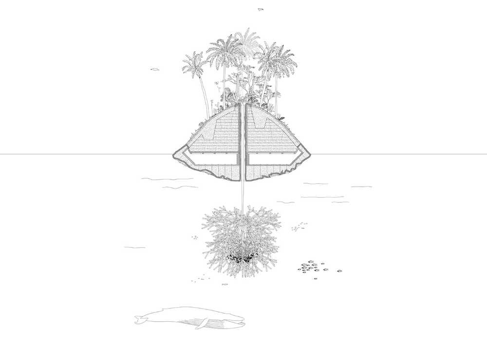 Sweep Island supports biodiversity and cleanses the seas