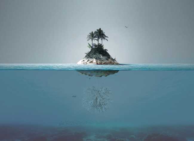 Sweep Island supports biodiversity and cleanses the seas