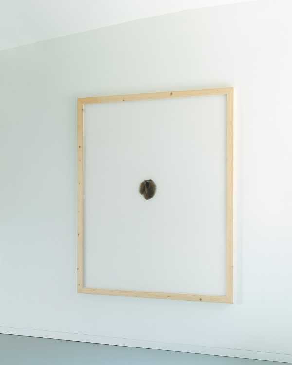 20/A of Am Gries and the hidden parallel world within it