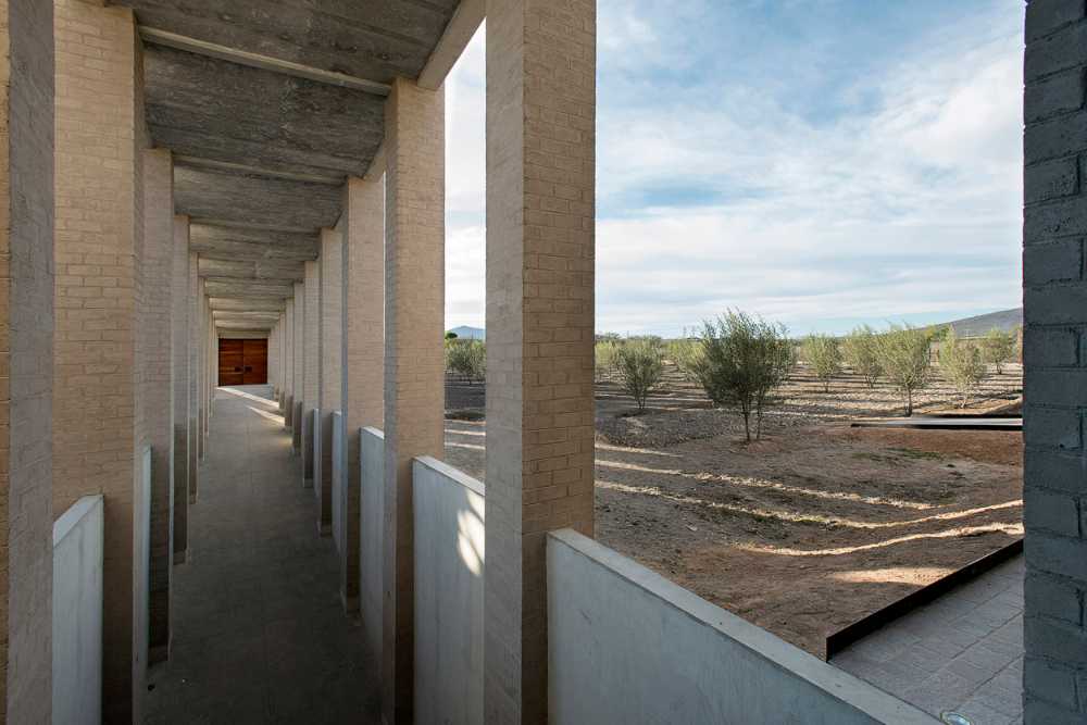 Viñedo De Coté in Mexico combines production and hospitality by harnessing the site's configuration