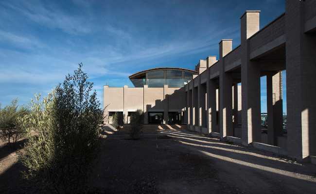 Viñedo De Coté in Mexico combines production and hospitality by harnessing the site's configuration