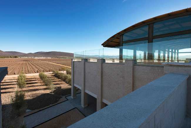 Viñedo De Coté in Mexico combines production and hospitality by harnessing the site's configuration