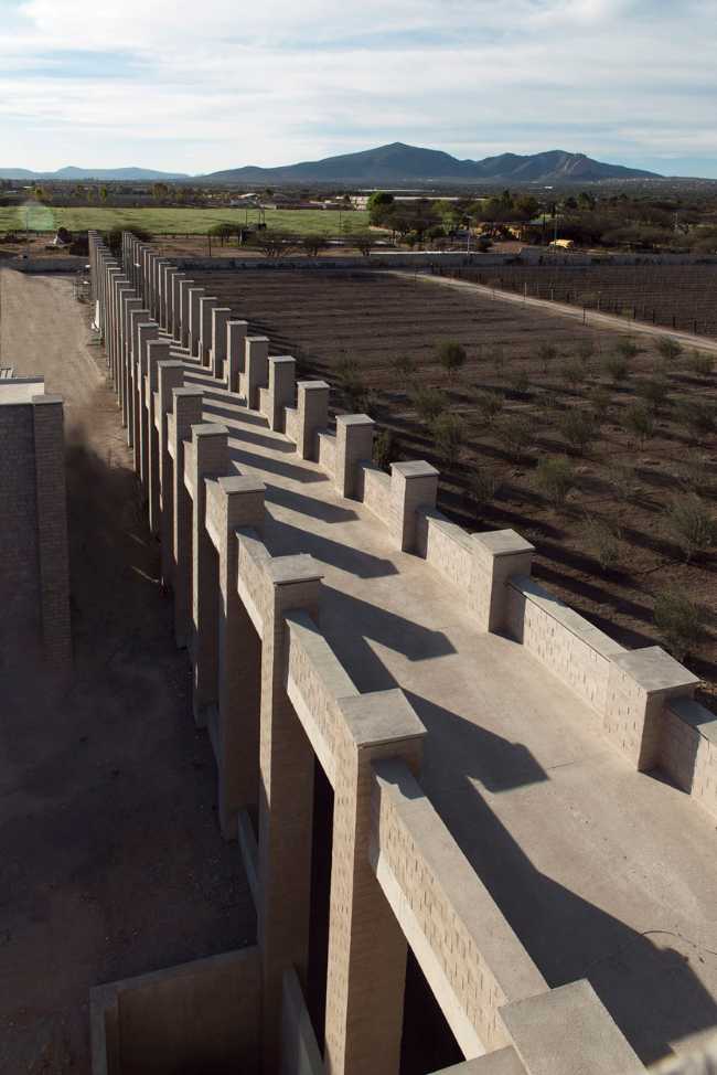 Viñedo De Coté in Mexico combines production and hospitality by harnessing the site's configuration