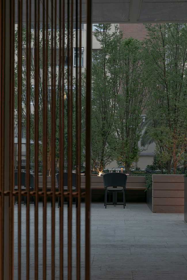 Magic and mystery of the forest at the Bosco de Lobos Restaurant in Barcelona